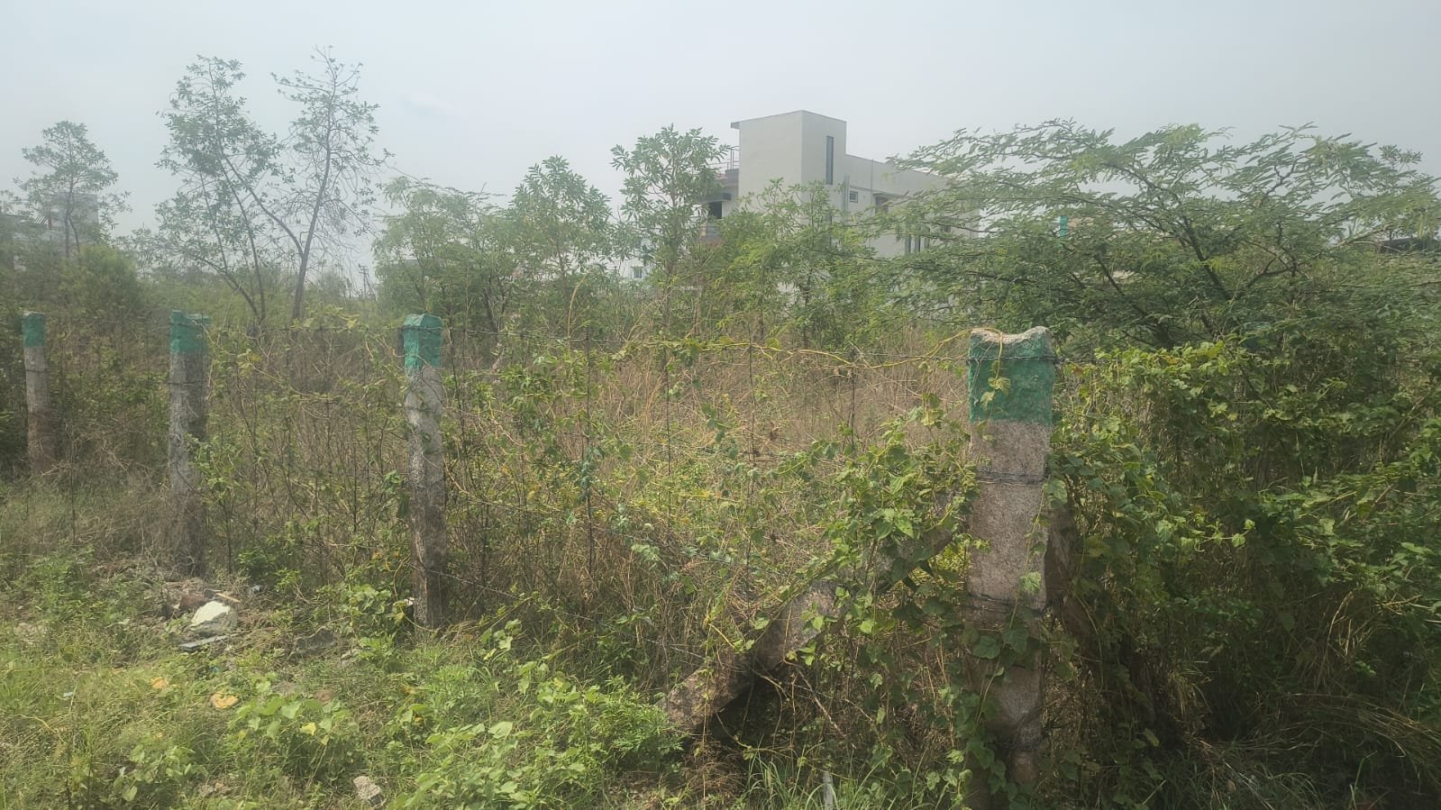 Thirumurugan nagar